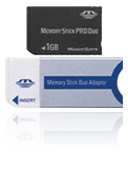 Memory Stick